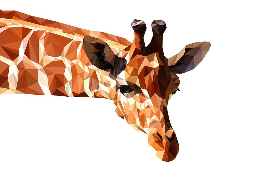 giraf, stand-alone, dyr, baggrund, hvid, vild, natur, dyreliv, afrikansk, Brun, hals