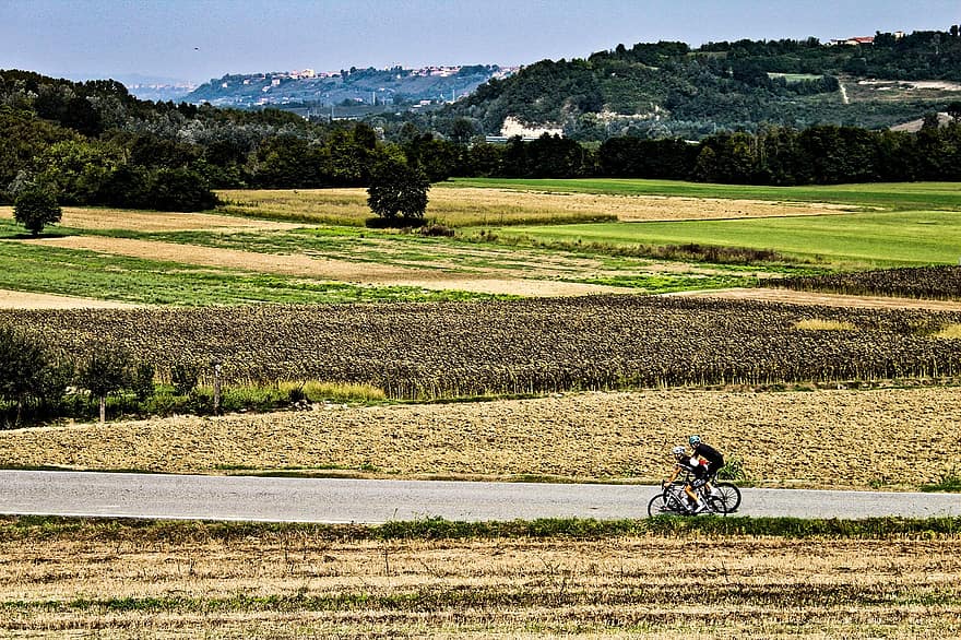 velosipēdi, riteņbraukšana, riteņbraucējiem, ceļš, segums, veidā, josla, laukus, pļavas, līdzenumi, ainavu