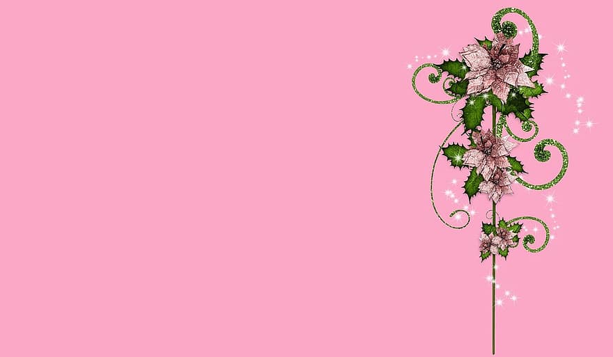 Poinsettias, цветы, украшение, рождество, день отдыха, фон, копировать пространство, поздравительная открытка, шаблон, искриться, время года