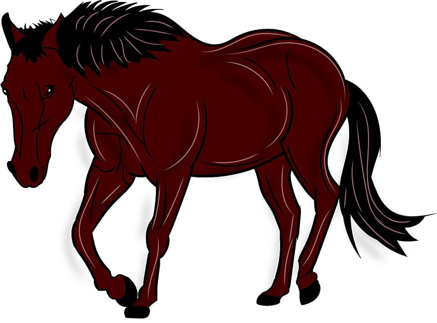 hest, dyr, natur, pattedyr, hingst, kæledyr, rytterstatue, vild, indenlandske, hesteryg, pony
