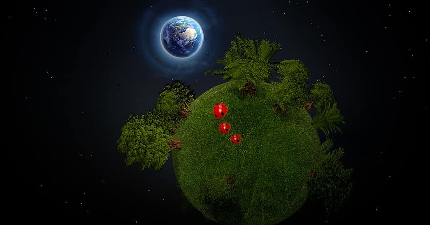 lille verden, lille planet, planet, bold, træer, bille, mariehøne, belysning, skygge, natur, humør