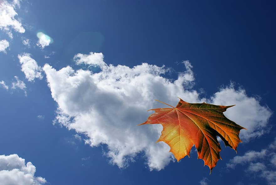Leaf, Clouds, Sky, Float, Ease, dom, Autumn