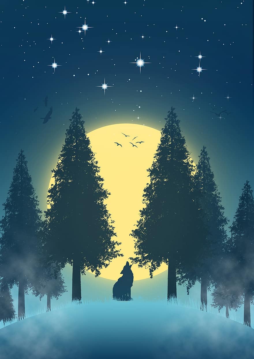 noc, Wilk, księżyc, wilki, krajobraz, zwierzę, światło księżyca, pies