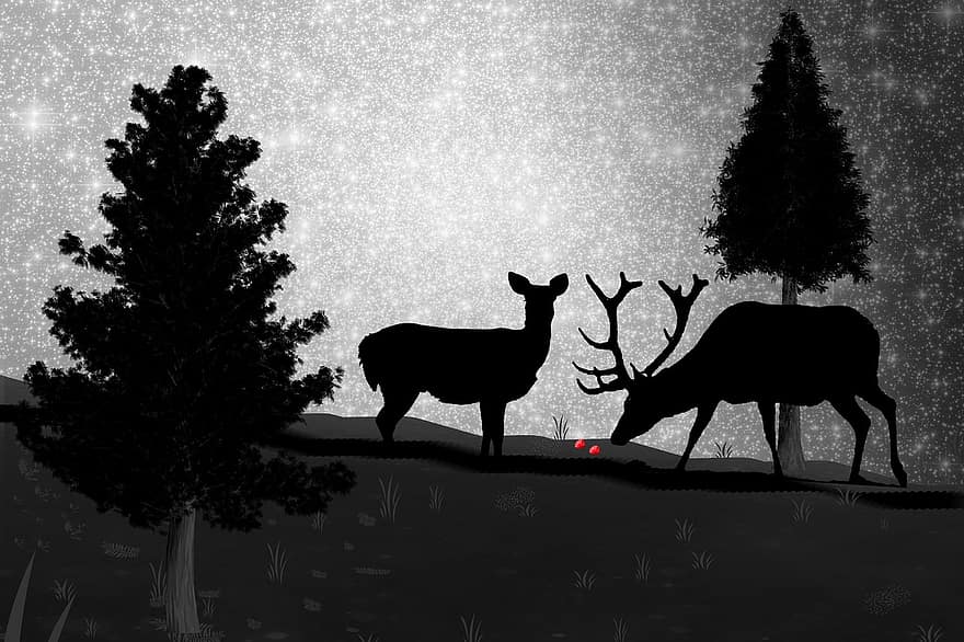 Caribou, Reindeer, Deer, Silhouette, Nature, Antlers, Wildlife, Rangifer Tarandus, Animal, Mammal, Night Sky