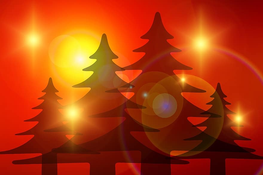 δέντρα, σιλουέτες, σιλουέτα, έλευση, ατμόσφαιρα, διακοσμήσεις δέντρων, χριστουγεννιάτικο δέντρο, Χριστούγεννα, Χριστός, διακόσμηση, Δεκέμβριος