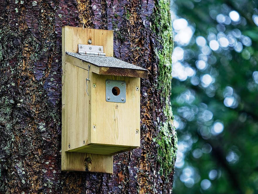 birdhouse, nido, albero, scatola, tronco, abbaiare, legna, riparo, conservazione, avvicinamento, annidamento