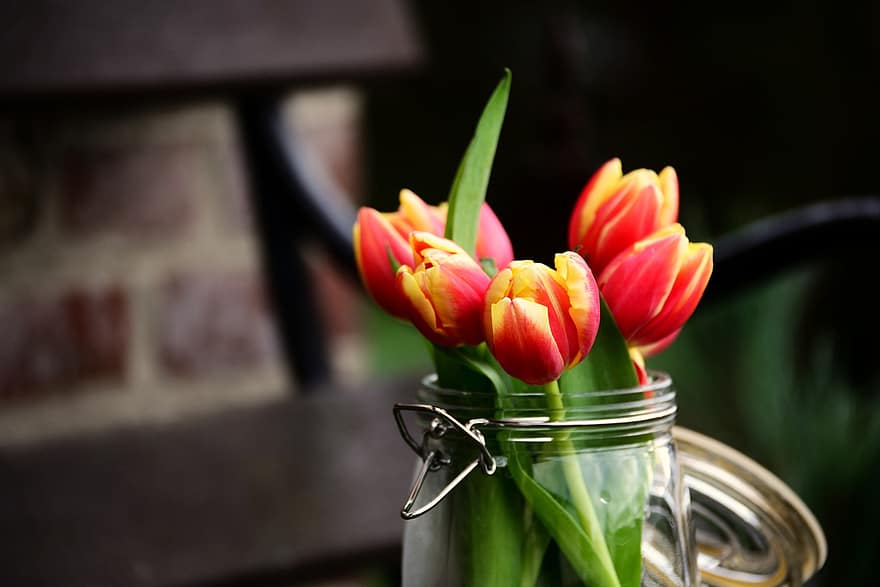 tulipany, kwiaty, wazon, płatki, kwiat, kwitnąć, flora, wiosenne kwiaty, tulipan, roślina, zielony kolor