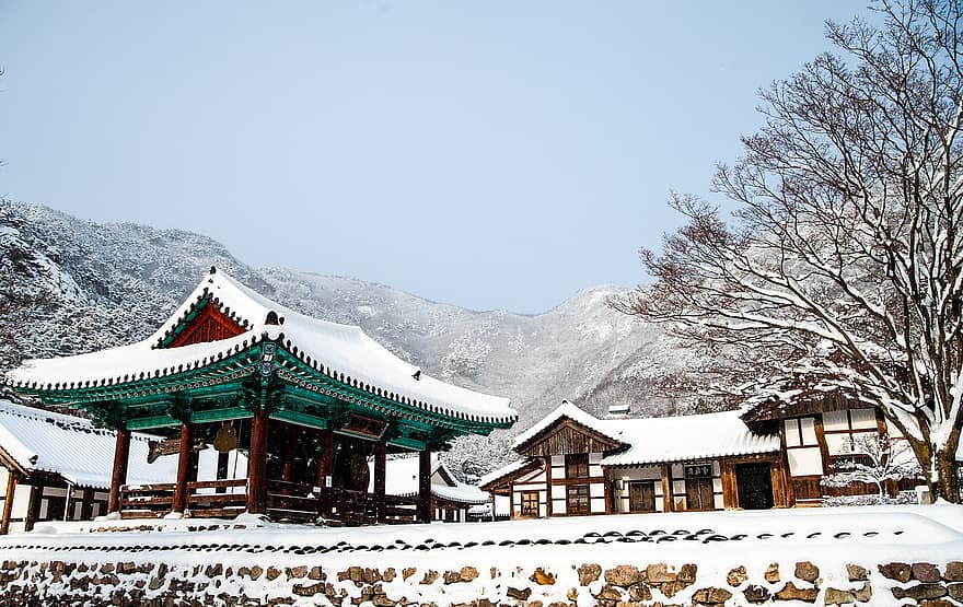 Kuil, salju, pohon, musim dingin, pohon telanjang, embun beku, dingin, snowscape, winterscape, sangat dingin, Kuil Naeso