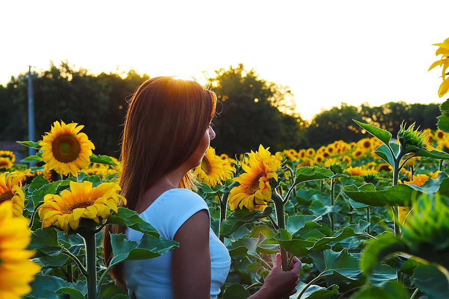 Woman, Model, Field, Sunflower, Flower, Meadow