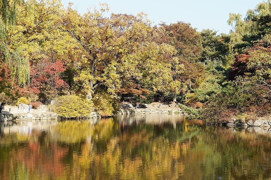 езеро, есен, гора, природа, на открито, дърво, листо, вода, пейзаж, сезон, зелен цвят