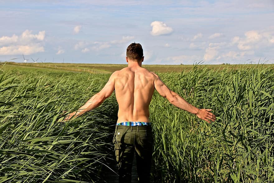 мъж, силен, спортен, горната част на тялото, сила, поле, висока трева, трева, природа, пейзаж, идиличен