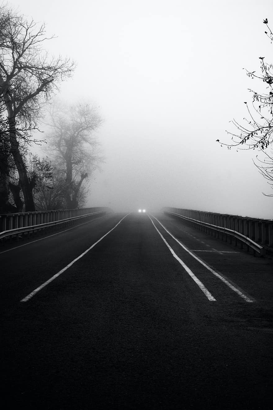 Car, Road, Fog, Travel, Exploration, tree, transportation, black and white, dark, traffic, vanishing point