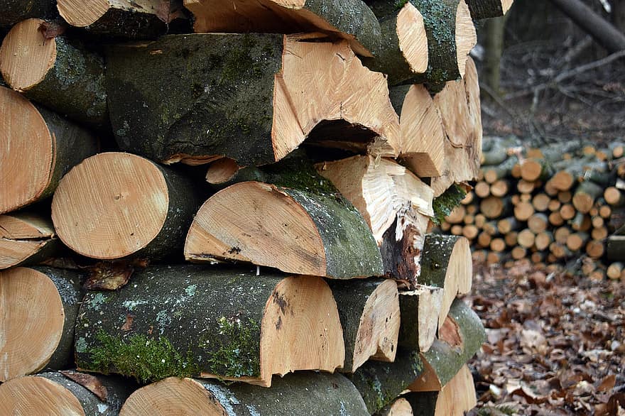 kayu, log, batang, kayu bakar, Potongan Kayu, tumpukan kayu, kehutanan, tekstur, penggundulan hutan, tumpukan, hutan