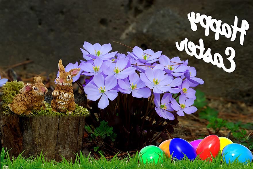 Pasqua, ous de Pasqua, conill de Pasqua, primavera, flor, naturalesa, multicolor, celebració, decoració, temporada, herba