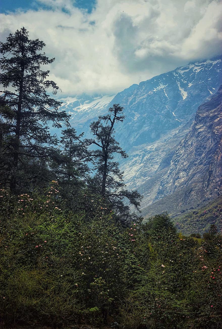 Nepalas, kraštovaizdį, langtang, Kjandzinas, Kyanjin slėnis, Rasuwa, langtango slėnis, kyanjin gompa, langtang nacionalinis parkas, upė, gosaikunda