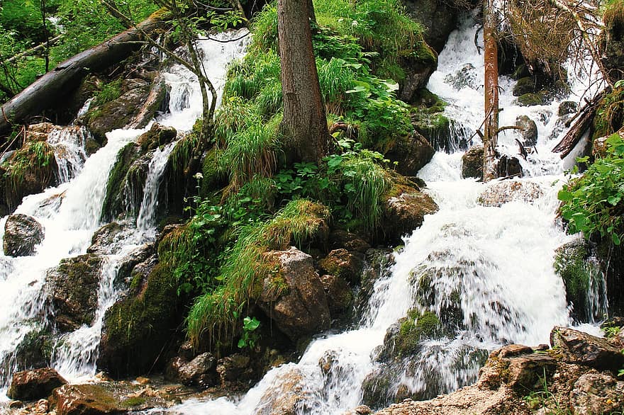 bach, cascada, bosc, molsa, arbre, color verd, pluja tropical, aigua, paisatge, rock, full