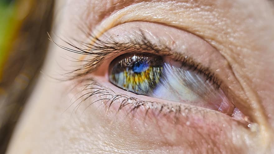 øye, syn, øyevipper, iris, retina, optisk, blått øye, kvinne, menneskelig, hud, pike