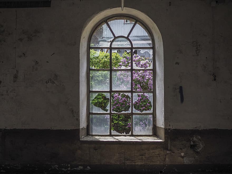 Lost Places, Window, Abandoned, Pfor, Old, Decay, Building, Dilapidated, Shabby, Lapsed, Past