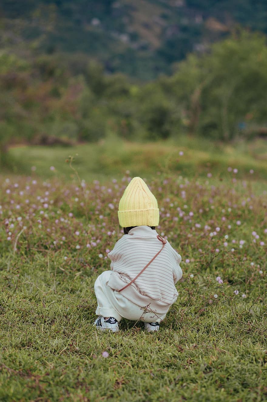 घास का मैदान, फूल, छोटी बच्ची, बच्चा, प्रकृति, बेबी, घास, प्यारा, गर्मी, आनंद, बचपन
