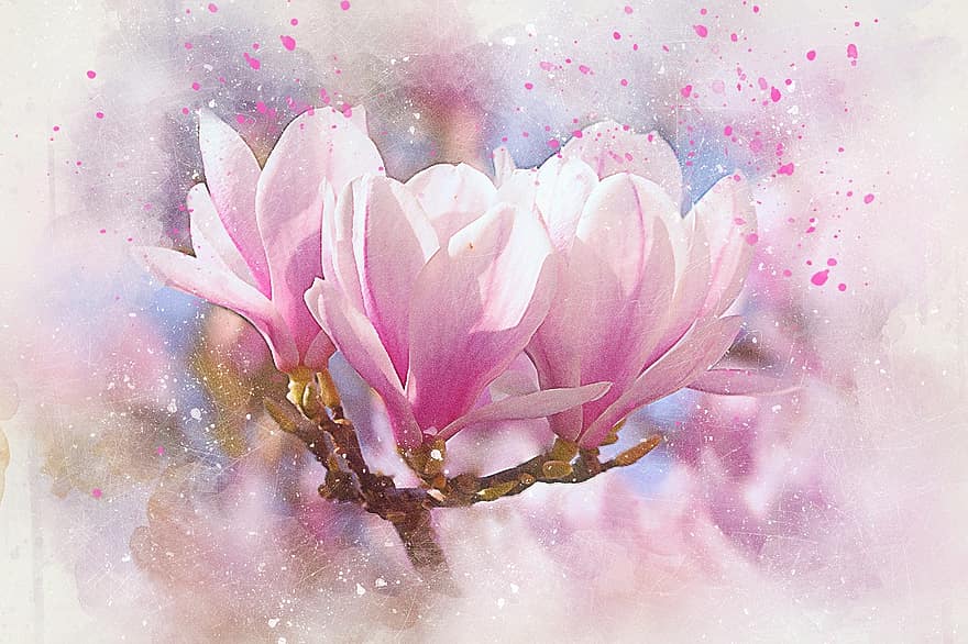 bunga-bunga, magnolia, seni, abstrak, alam, pernikahan, cat air, vintage, musim semi, romantis, artistik