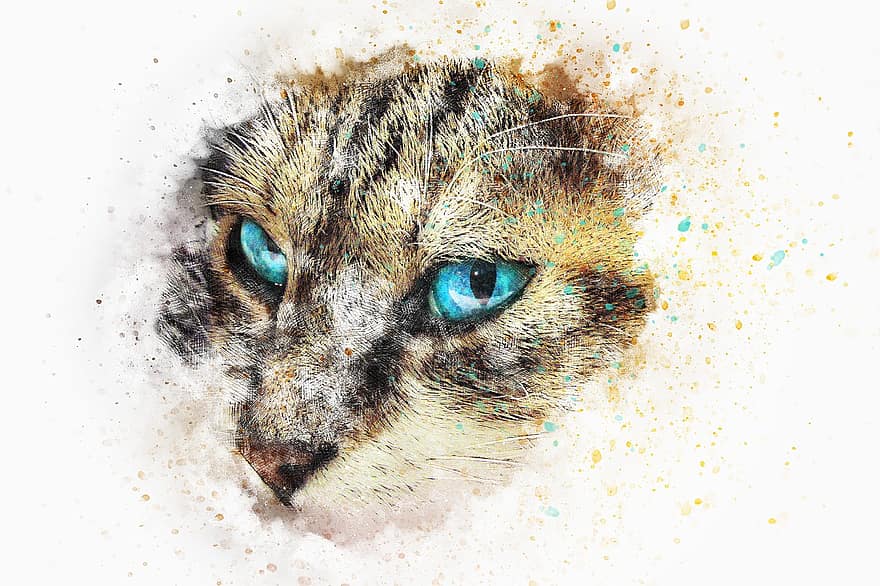 кошка, Китти, животное, голубые глаза, эмоция, акварель, марочный, природа, красочный, домашнее животное, художественный