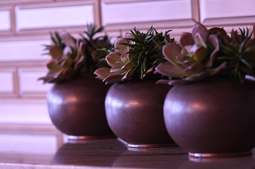 Blumen, Vase, Topf, Keramik, Stillleben