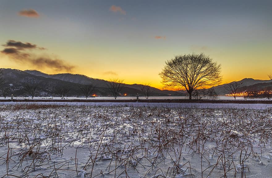 Field, Snow, Sunrise, Sunset, Trees, Grass, Mountains, Winter, Dawn, Dusk, Orange Sky