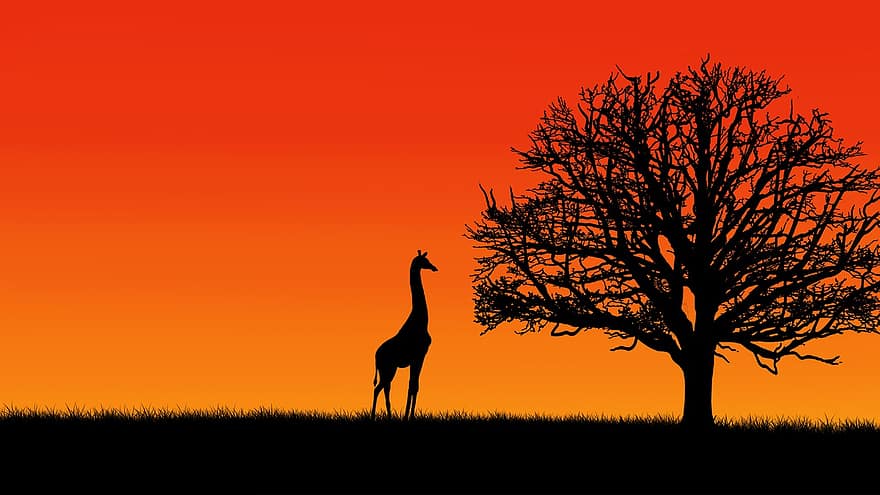 Baum, Giraffe, digitale Zeichnung, Aussicht, Paar, Tapete, Landschaft, Perspektive Kunst, minimalistische Kunst, minimalistisch, Vektor