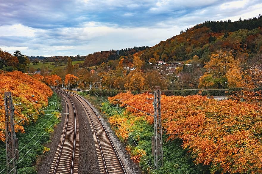 レール、列車、森林、秋、旅行する、ドイツ、ハイデルベルク