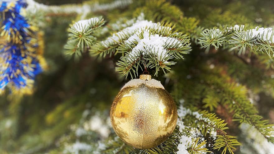 chuchería, oro, ornamento, árbol de Navidad, naturaleza, picea, invierno, nieve, Ramitas cubiertas de nieve, decoración, de cerca