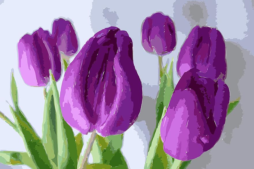 tulipaner, maleri, blomstre, floral, blomst, kunstnerisk, natur, blomstring, vår, opprettelse, kreativ