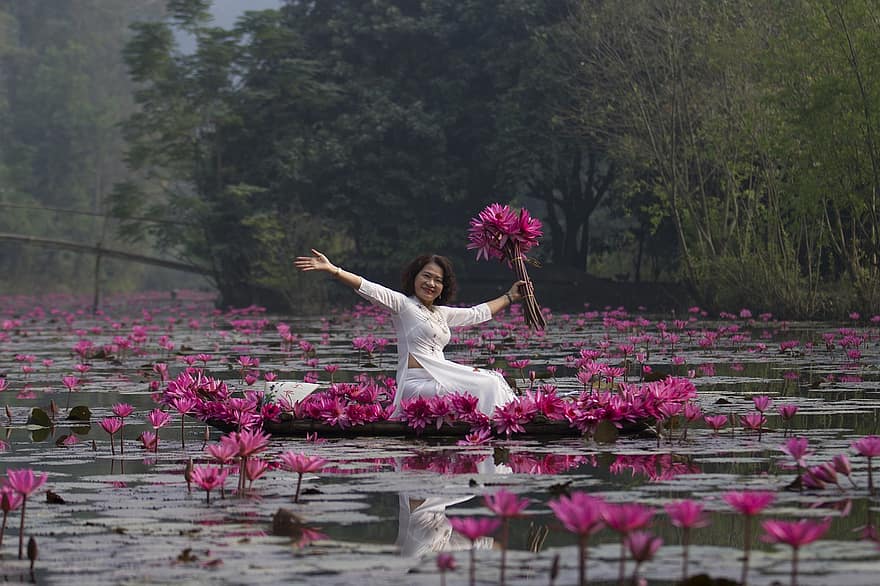 Lotusse, Blumen, Frau, weißes Kleid, pinke Blumen, Lotusblumen, Seerosen, blühen, Blütenblätter, rosa Blütenblätter, Flora
