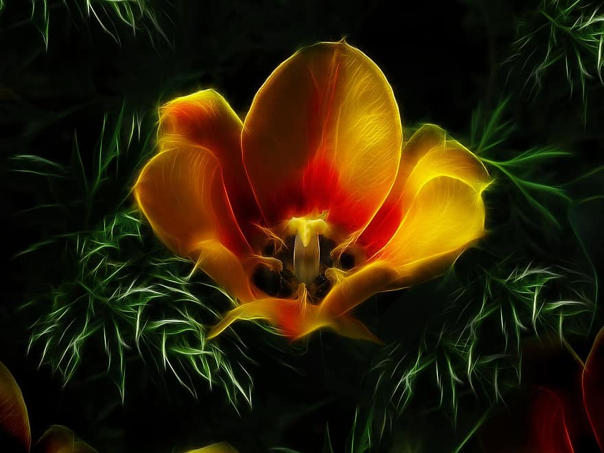tulipe, fleur, Floraison, fractalius, abstrait, plante, fermer, été, couleur verte, pétale, jaune