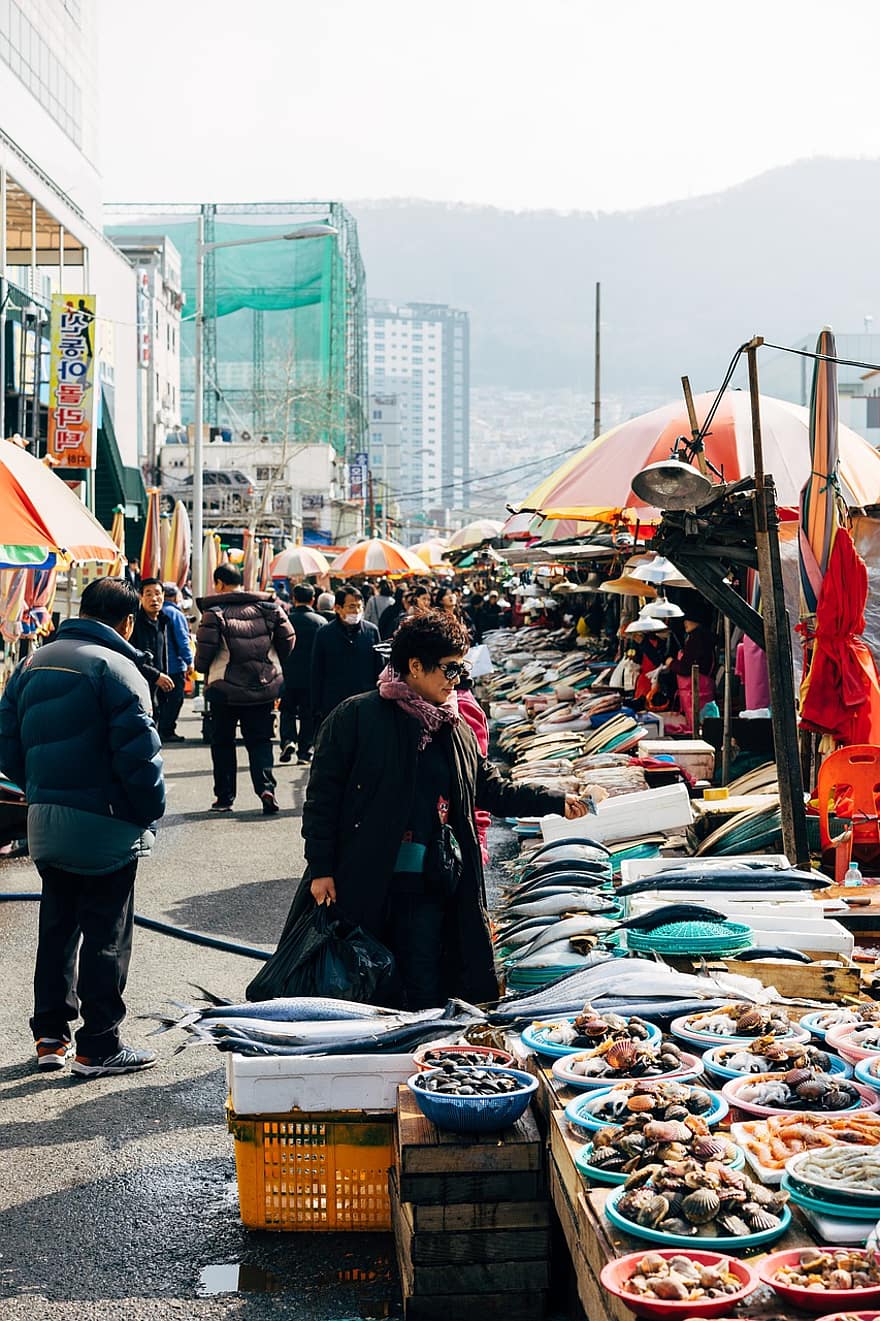 peix, mercat, venda, port, mercat d’animals, menjar, venda al detall, Paradeta