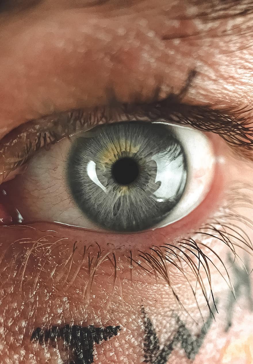 Human Eye, Eye, Pupil, Iris, Sight, Eye Details, Vision, Eyelashes, Cornea, Eyeball, Eyesight
