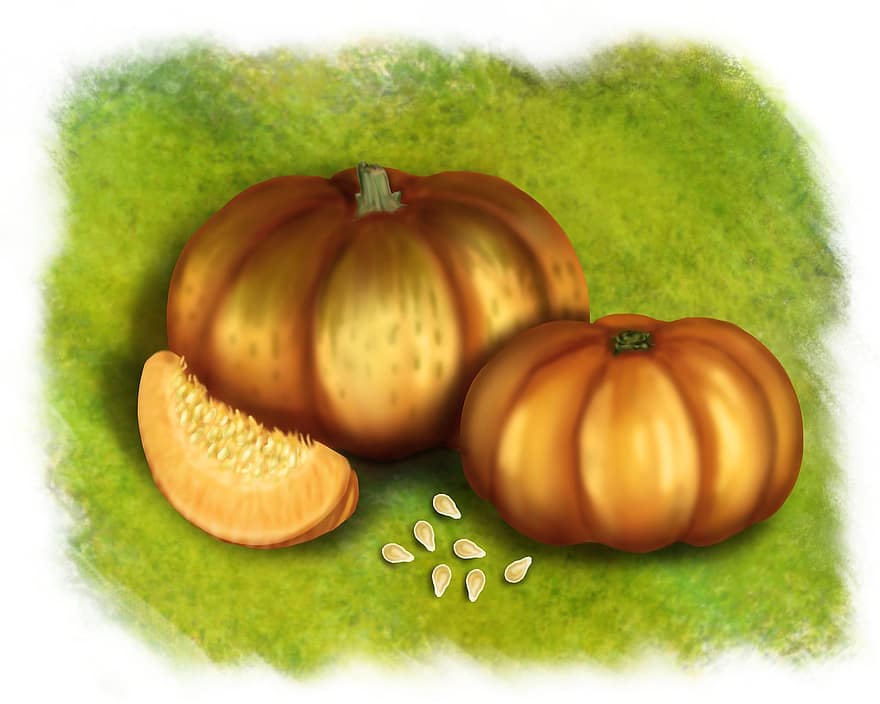 Pumpkin, Seeds, Painting, Autumn, Food, Vegetables, Nutrition, vegetable, agriculture, halloween, illustration
