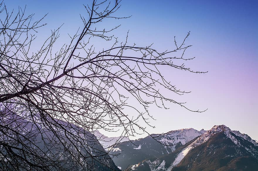 landschap, winter, natuur, hemel, bergen, takken, boom, berg-, blauw, Bos, sneeuw