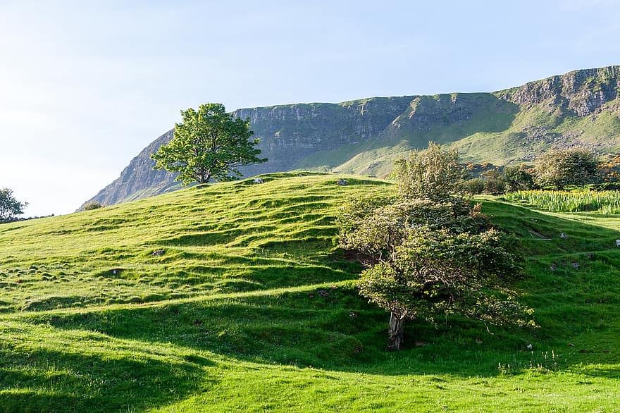 bergen, natuur, landschap, veld-, boom, gras, groen, buitenshuis, antrim, Noord-Ierland, Verenigd Koninkrijk