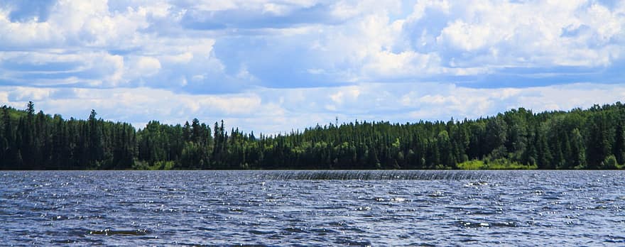 tó, fák, erdő, Alberta, Kanada, természet, víz, nyári
