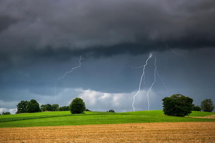 Field, Lightning, Thunderstorm, Flash, Storm Clouds, Meadow, Trees, Landscape, Nature, Sky, Clouds