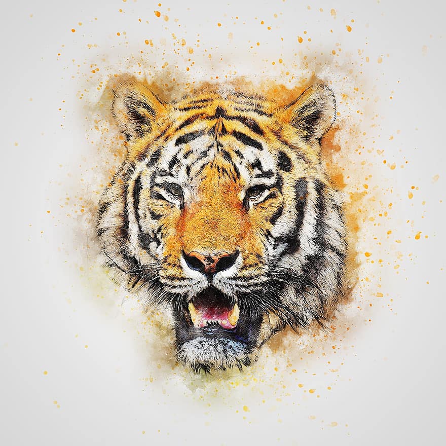tigre, chat, prédateur, art, abstrait, aquarelle, ancien, animal, la nature, mignonne, artistique