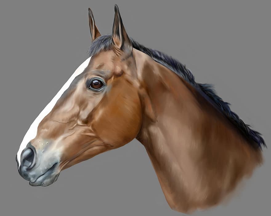 Horse, Animal, Pet, Racehorse, Digital Painting, Grass, Stallion, Gray Animals, Gray Horse, Gray Grass, Gray Digital
