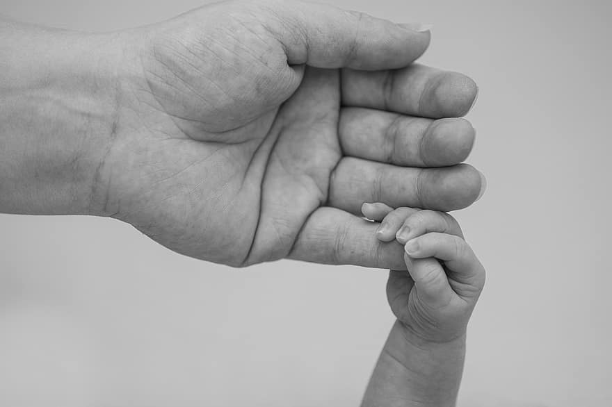 macierzyństwo, ręce, niemowlę, matka, miłość, rodzina, ludzka ręka, zbliżenie, czarny i biały, dziecko, trzymać