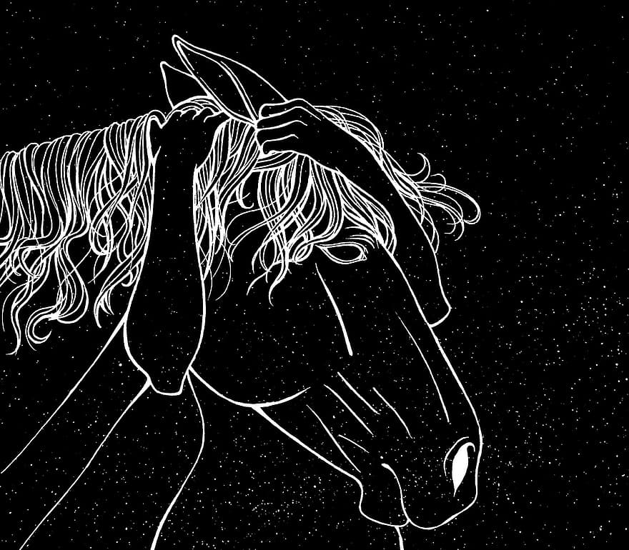 caballo, abrazo, arte lineal, manos, animal, mamífero, equino, Art º, dibujo, ilustración, vector