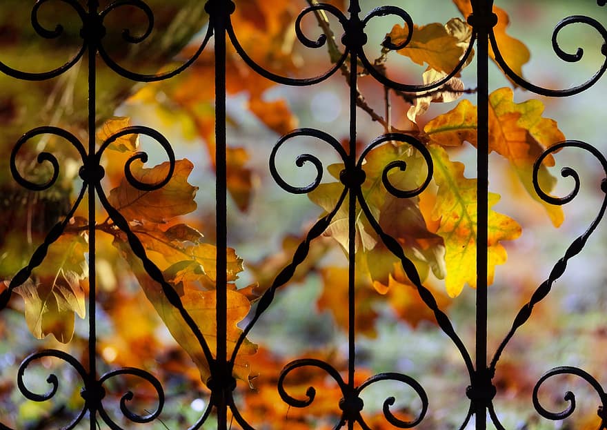 природа, листа, есенни цветове, цветен, ограда