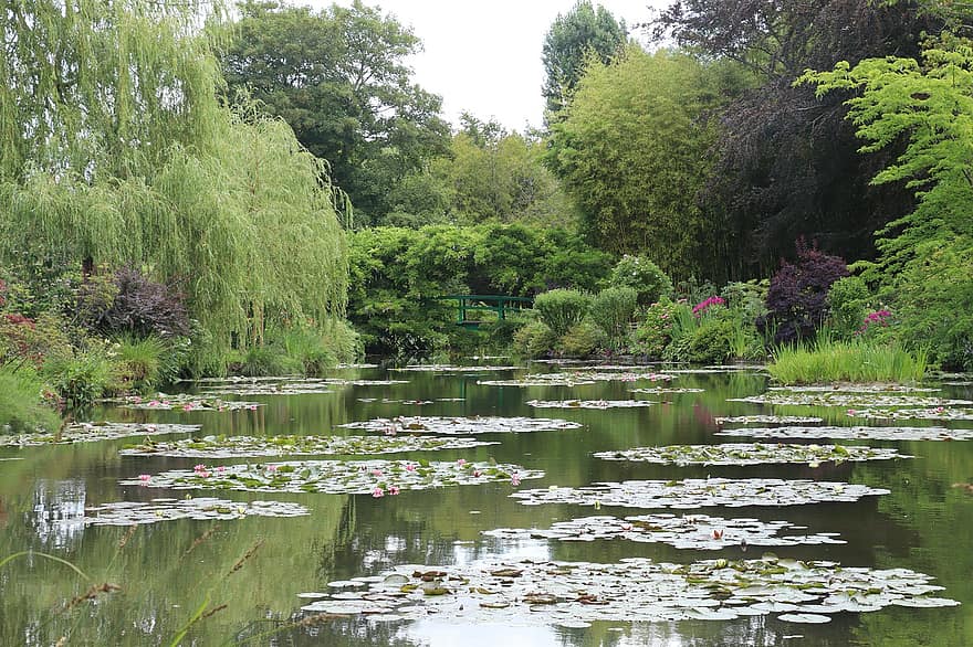 Nympheas, Giverny, Monet, természet, növény, víz, kert, japán