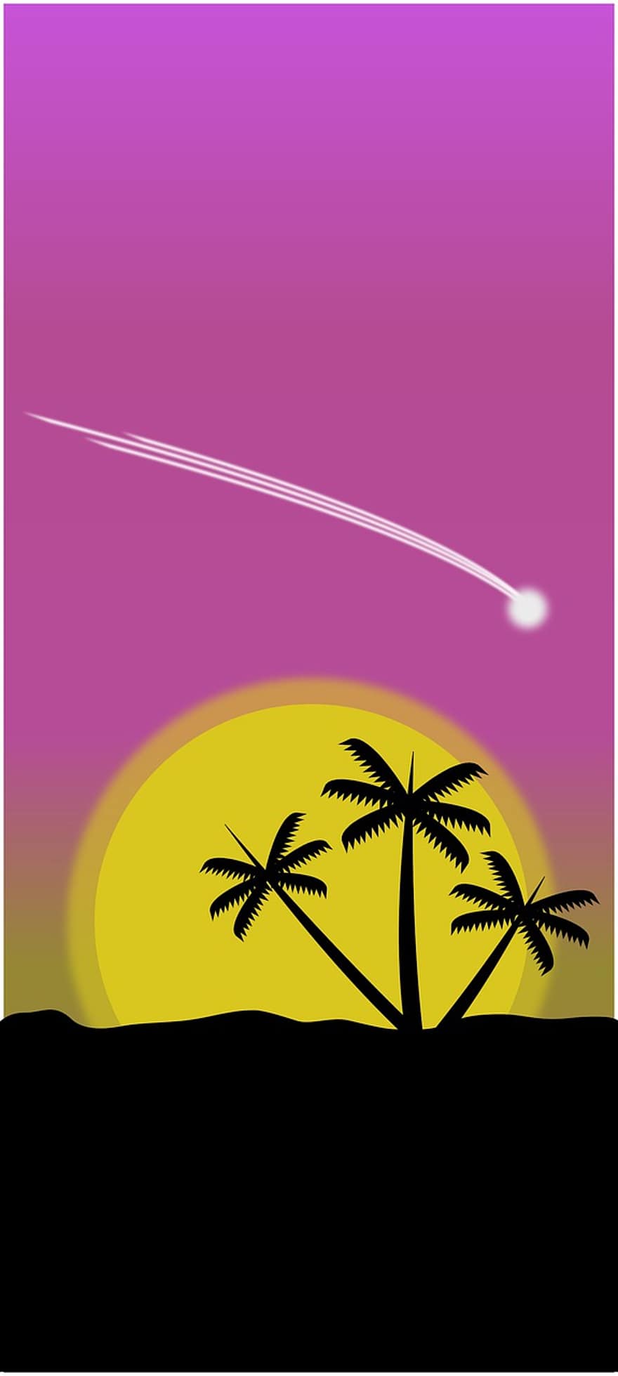 zonsondergang, palmen, vallende ster, palmbomen, silhouetten, boom silhouetten, strand, natuur, hemel, zonsopkomst, bomen