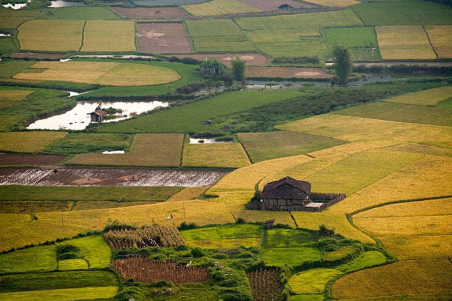 рисове поле, краєвид, природи, В'єтнам, подорожі, розвідка, ферми, сільська сцена, сільське господарство, трави, високий кут зору