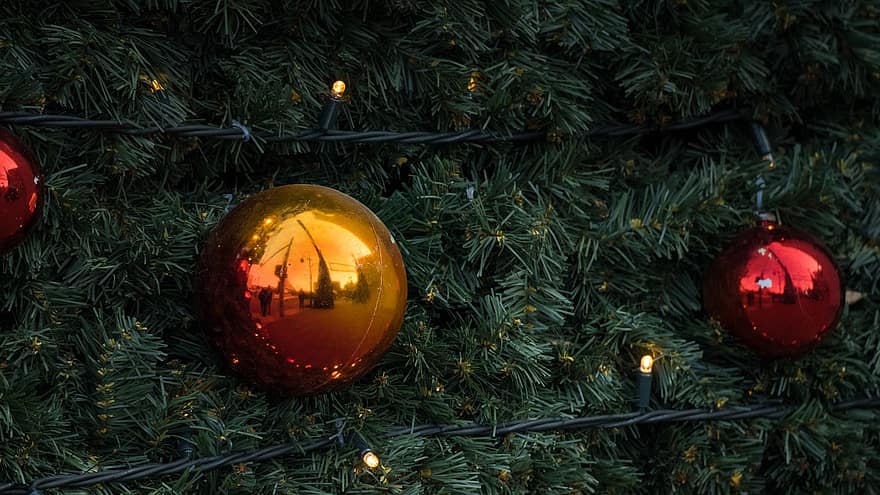 fa, Karácsony, dekoráció, ünnep, zöld, piros, sárga, ünneplés, háttérrel, téli, évszak