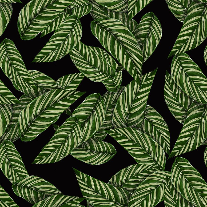 listy, vzor, tropický, zelená, Černá, zelený list, zelený vzor